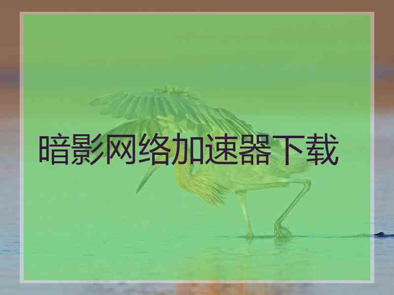 暗影网络加速器下载