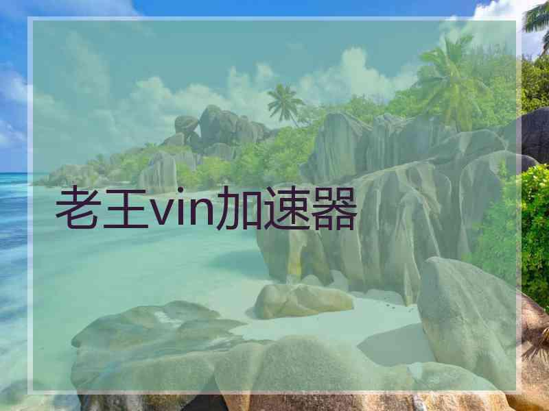 老王vin加速器