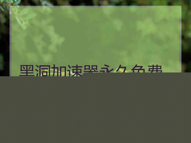黑洞加速器永久免费。