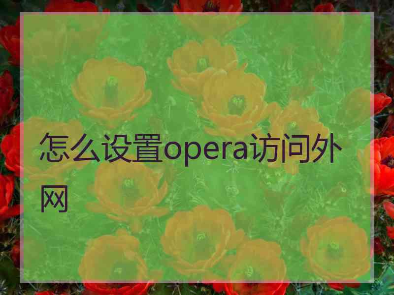 怎么设置opera访问外网