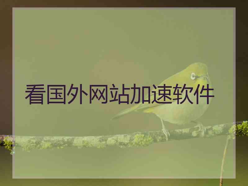 看国外网站加速软件
