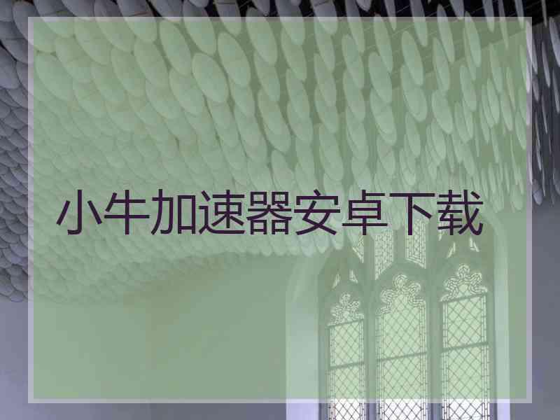 小牛加速器安卓下载