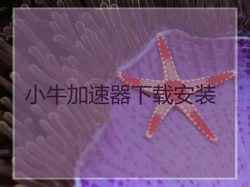 小牛加速器下载安装