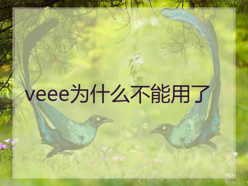 veee为什么不能用了
