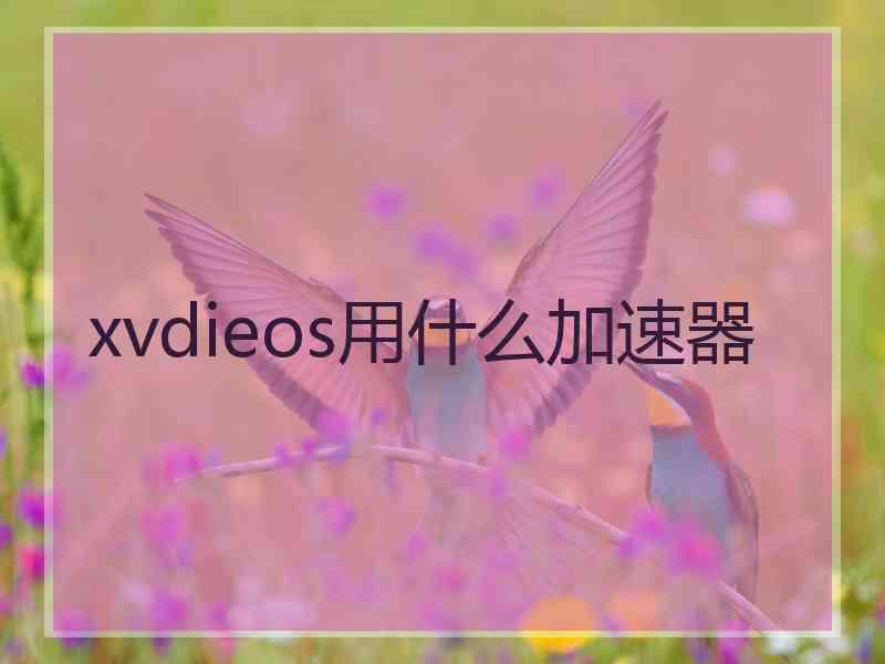 xvdieos用什么加速器