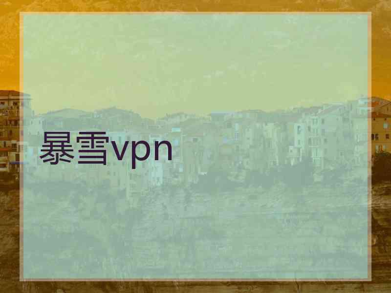 暴雪vpn