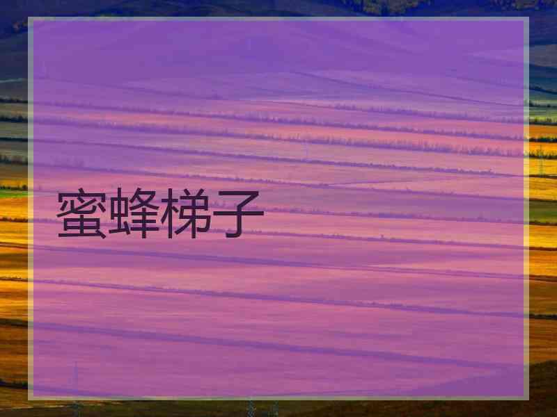 蜜蜂梯子