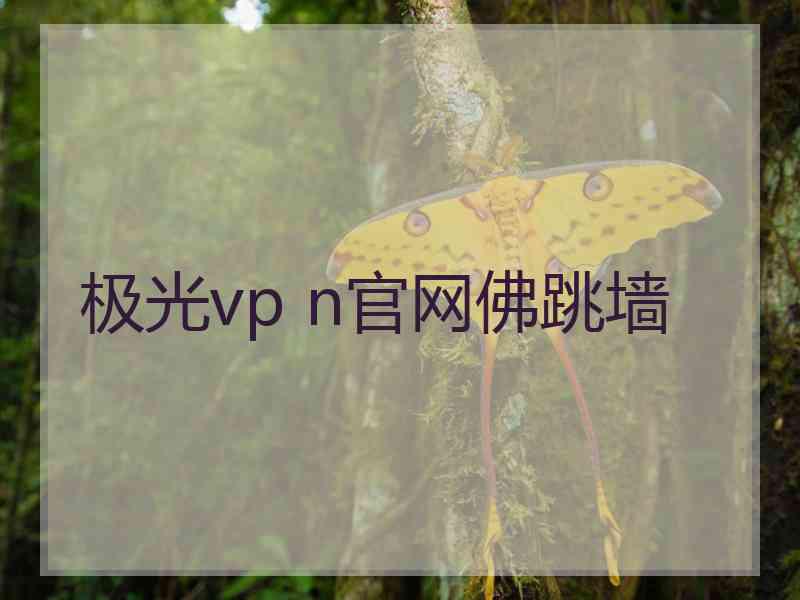 极光vp n官网佛跳墙