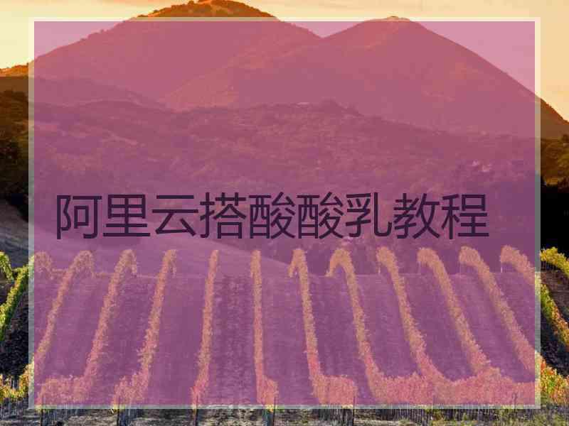 阿里云搭酸酸乳教程