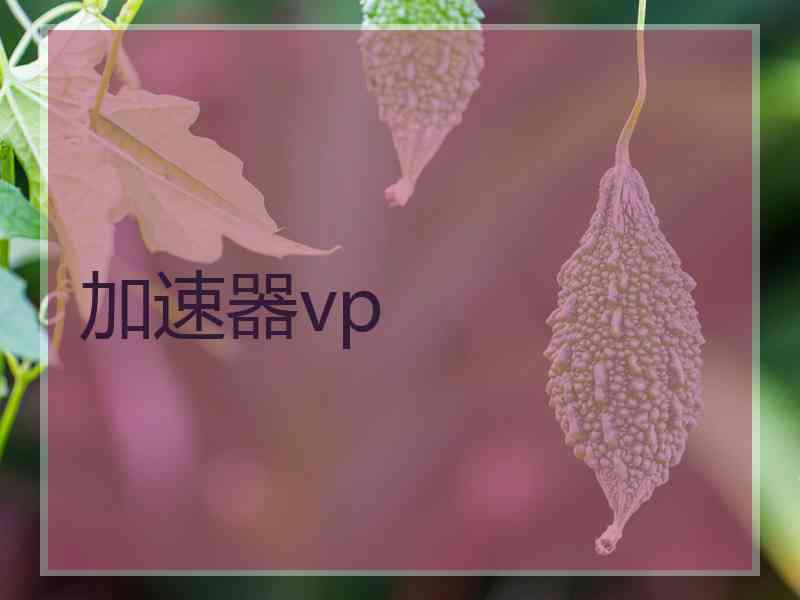 加速器vp