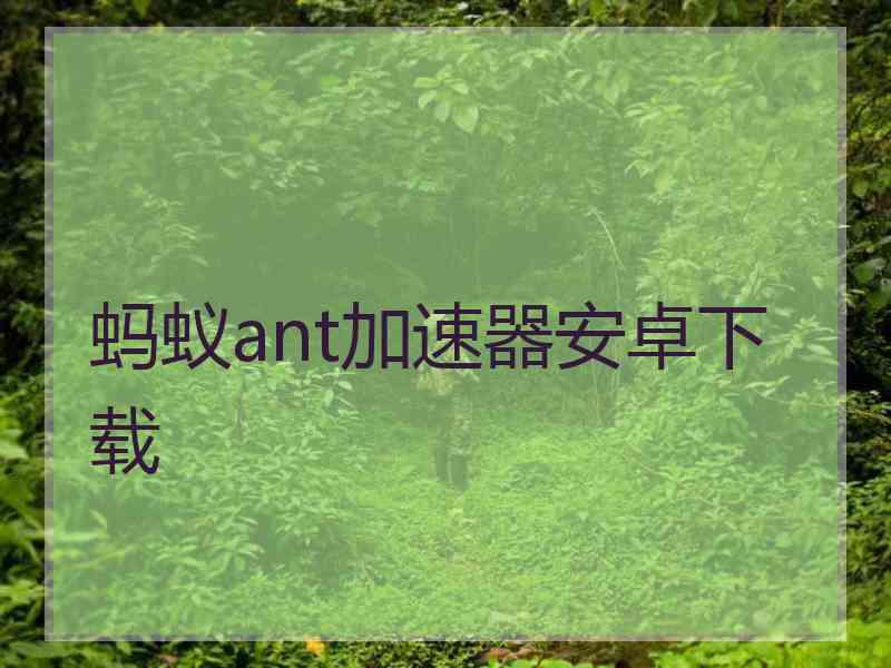 蚂蚁ant加速器安卓下载