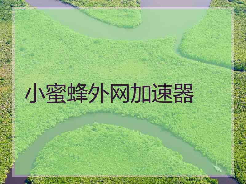小蜜蜂外网加速器