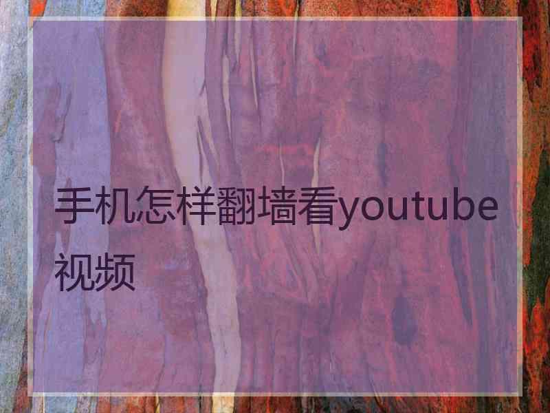 手机怎样翻墙看youtube视频