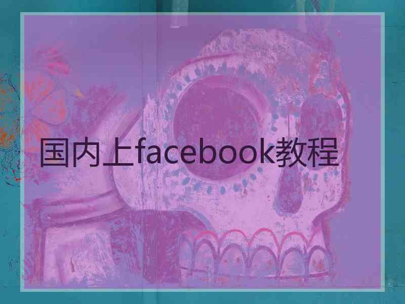 国内上facebook教程