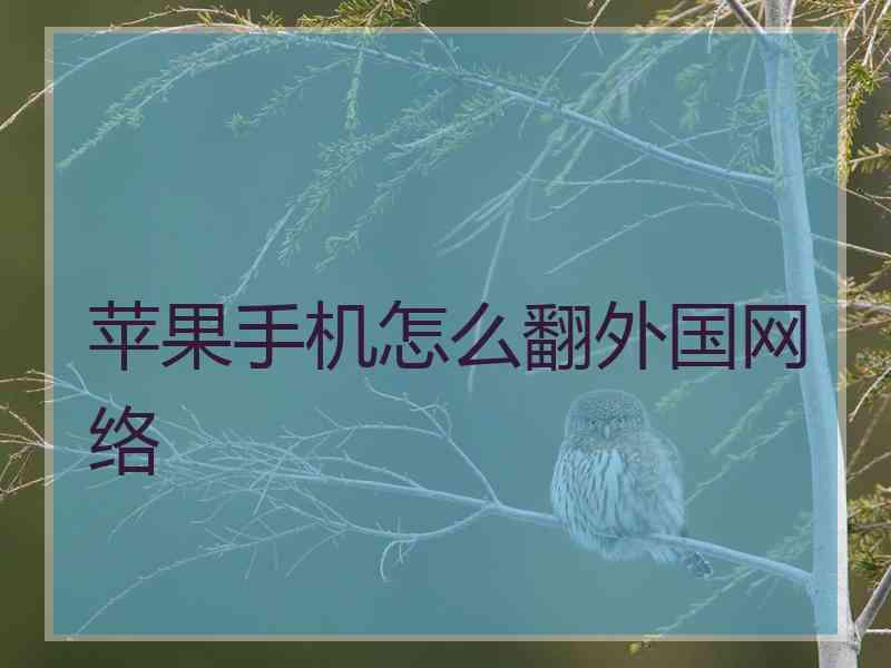 苹果手机怎么翻外国网络