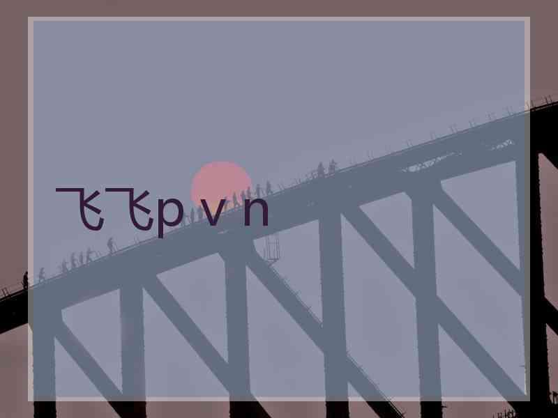 飞飞p v n