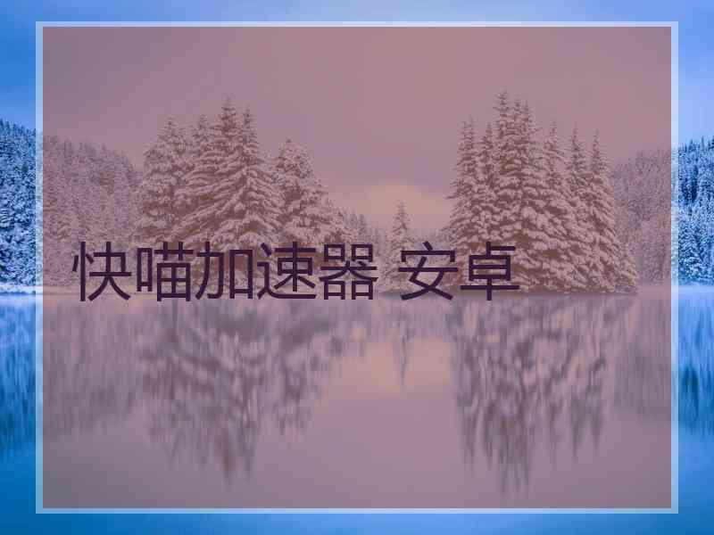 快喵加速器 安卓