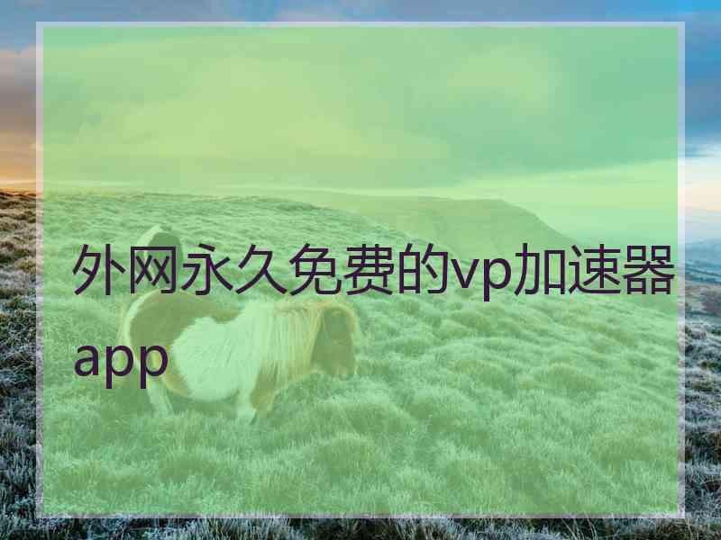 外网永久免费的vp加速器app