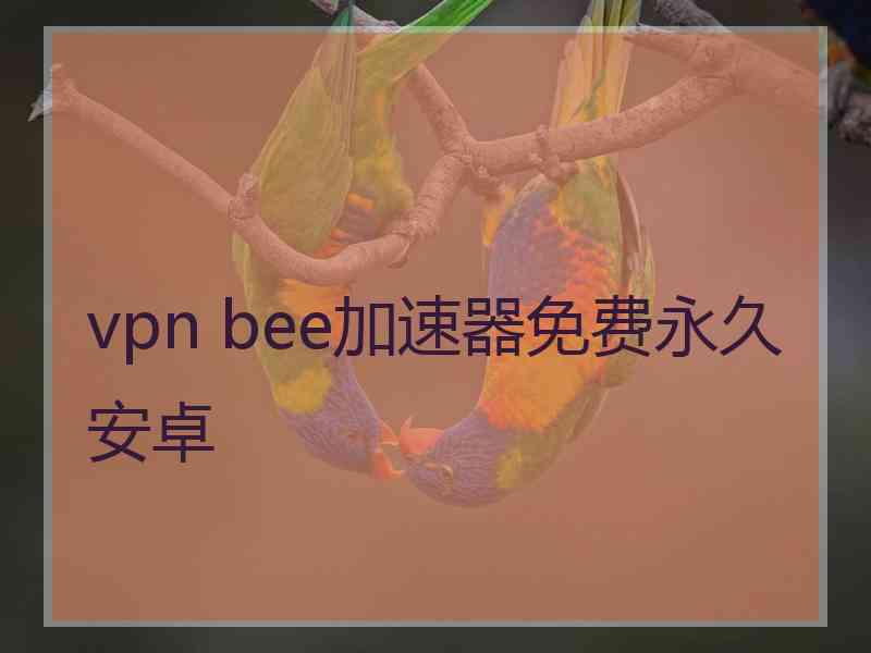 vpn bee加速器免费永久安卓
