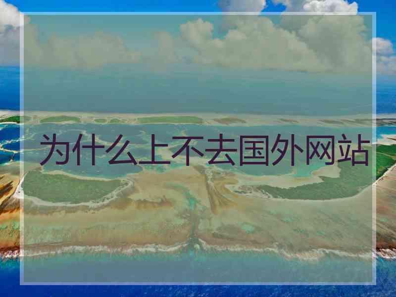 为什么上不去国外网站