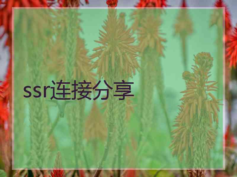 ssr连接分享