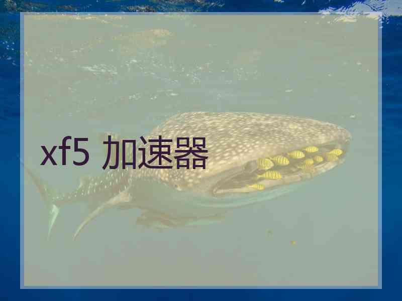 xf5 加速器