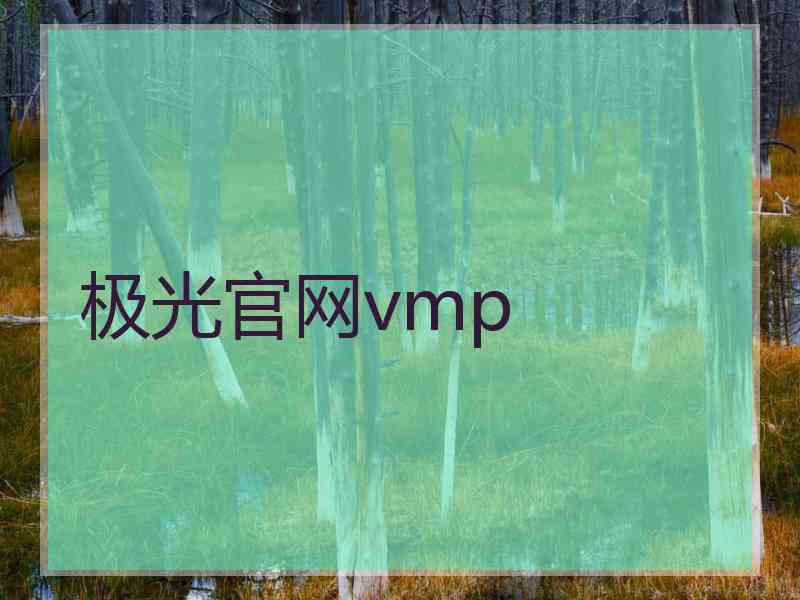 极光官网vmp