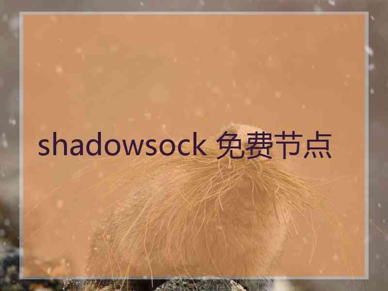 shadowsock 免费节点