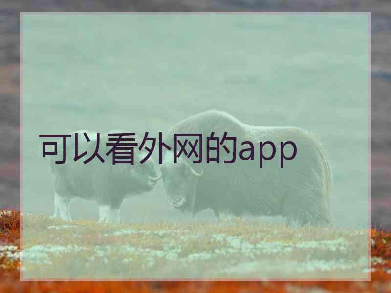 可以看外网的app