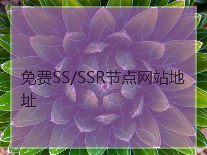 免费SS/SSR节点网站地址