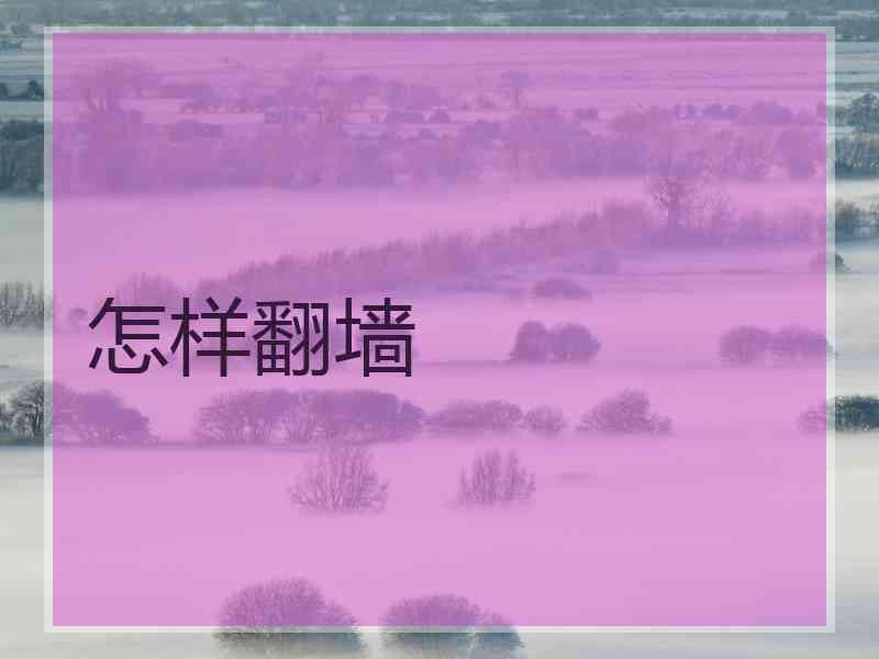 怎样翻墙