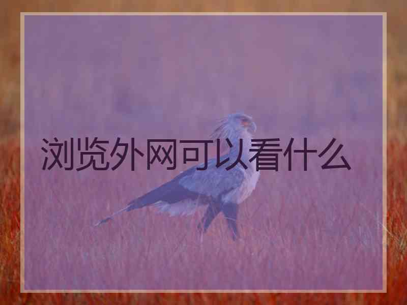 浏览外网可以看什么