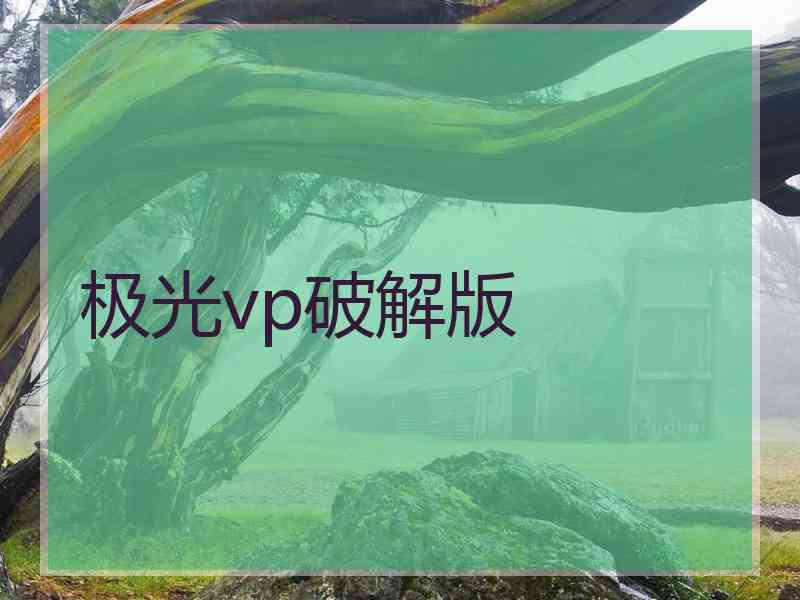 极光vp破解版