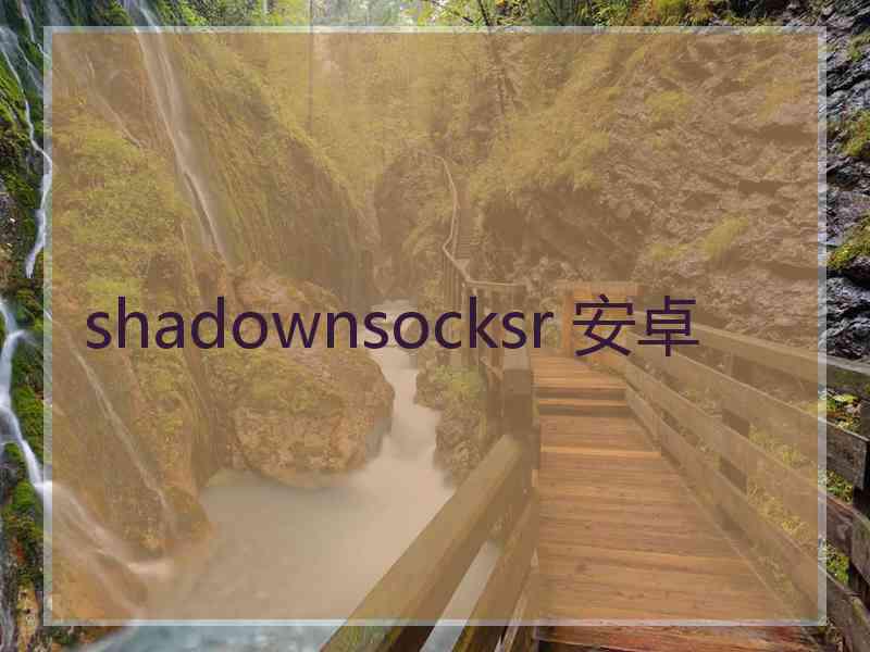 shadownsocksr 安卓