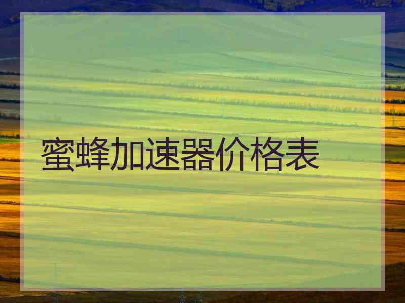蜜蜂加速器价格表
