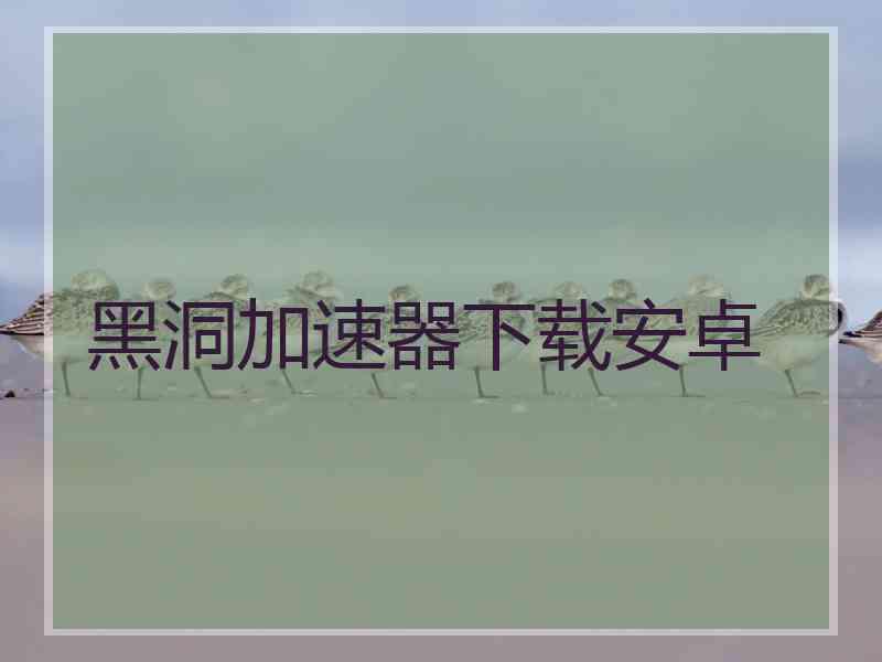 黑洞加速器下载安卓