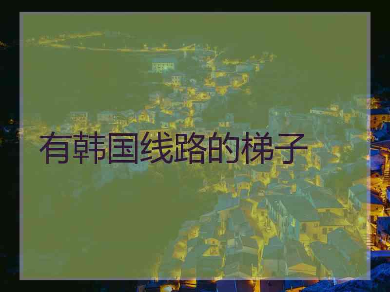 有韩国线路的梯子
