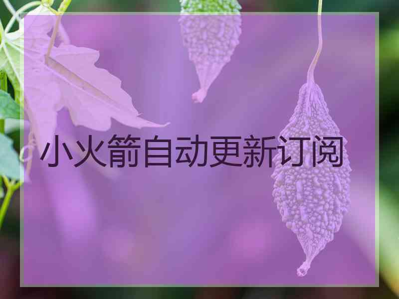 小火箭自动更新订阅