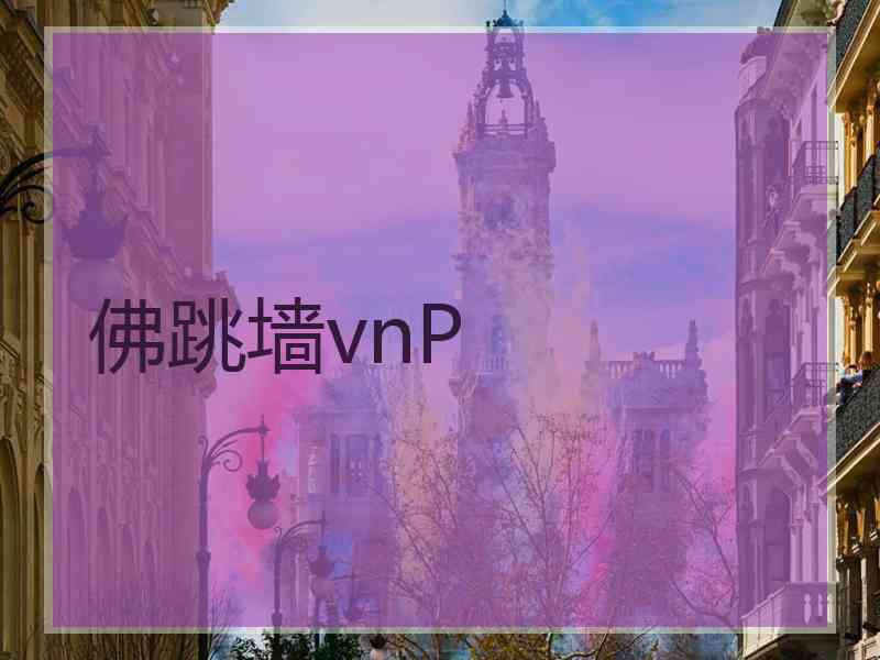 佛跳墙vnP