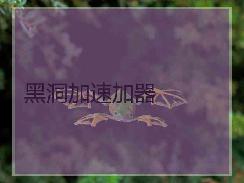 黑洞加速加器