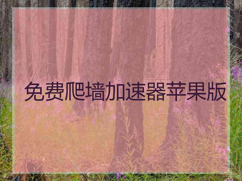 免费爬墙加速器苹果版