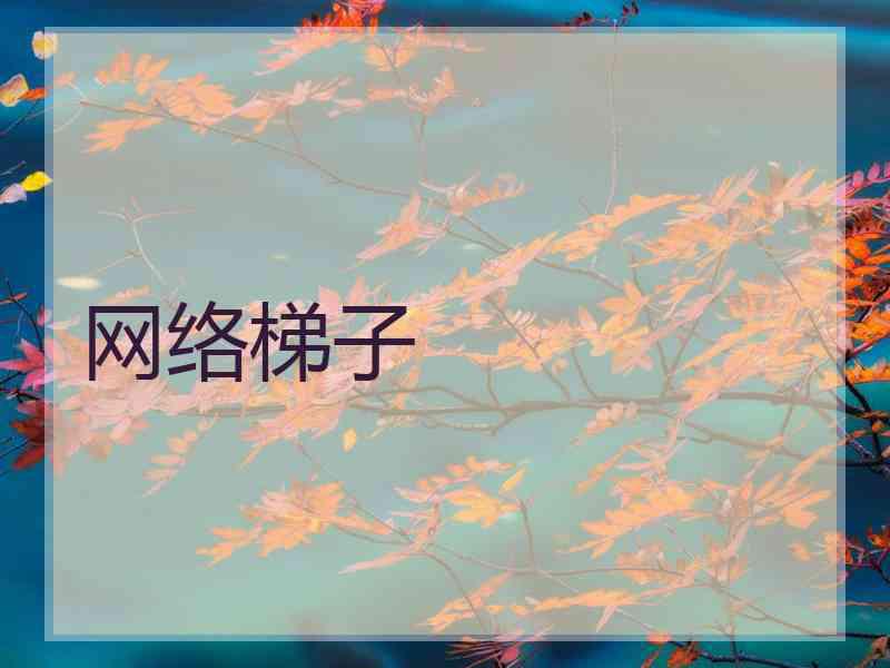 网络梯子