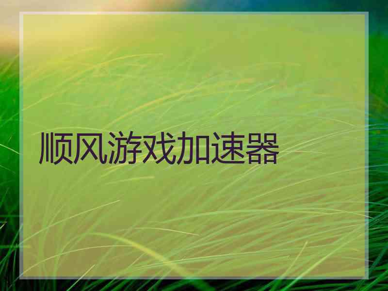 顺风游戏加速器