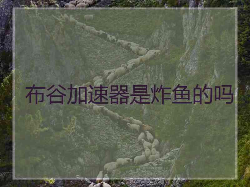 布谷加速器是炸鱼的吗