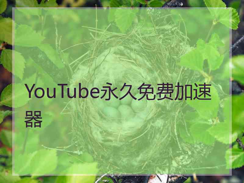 YouTube永久免费加速器