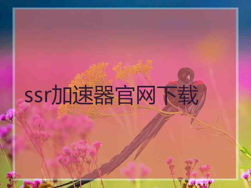 ssr加速器官网下载