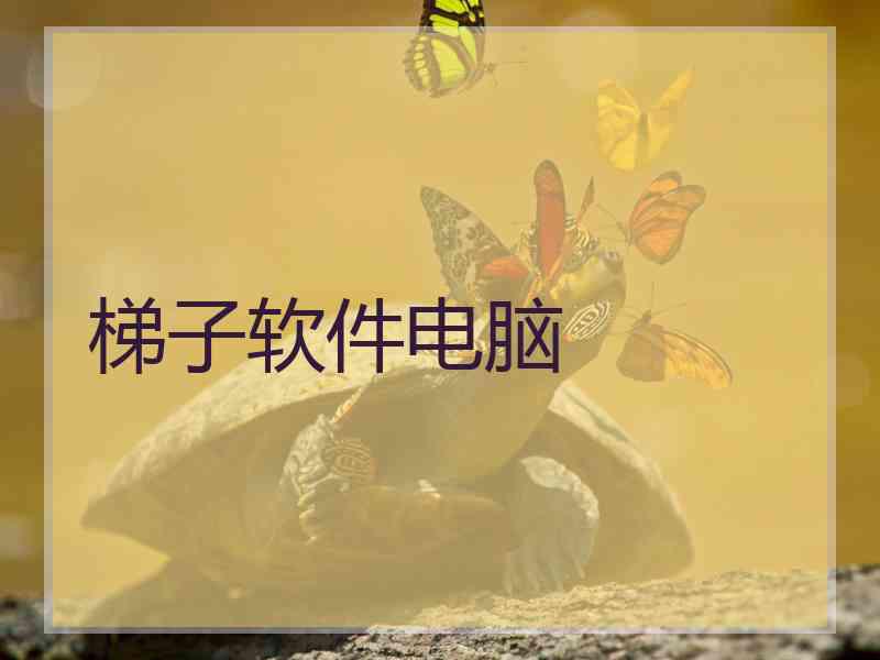 梯子软件电脑