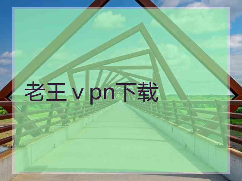 老王ⅴpn下载