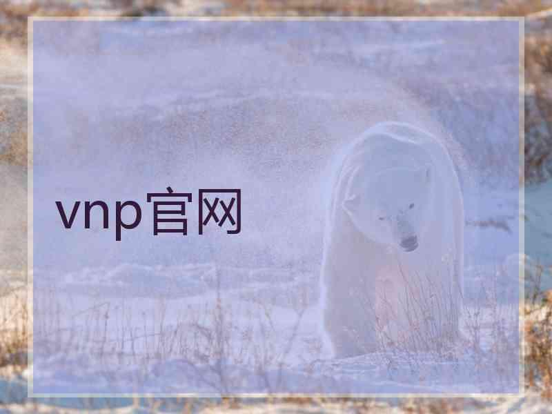 vnp官网