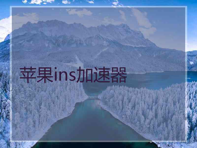 苹果ins加速器